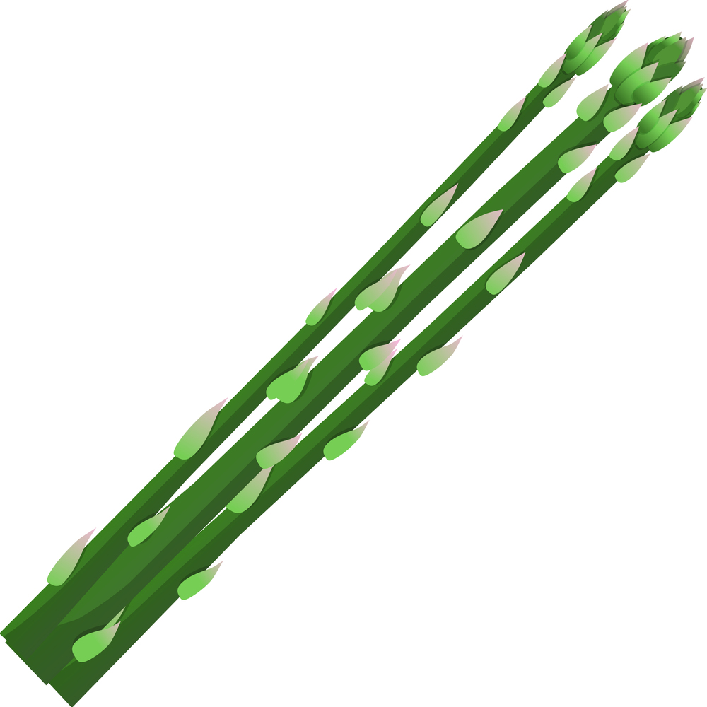 Green asparagus icon Royalty Free Vector Image