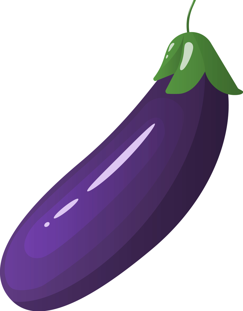 Eggplant vegetable icon Royalty Free Vector Image