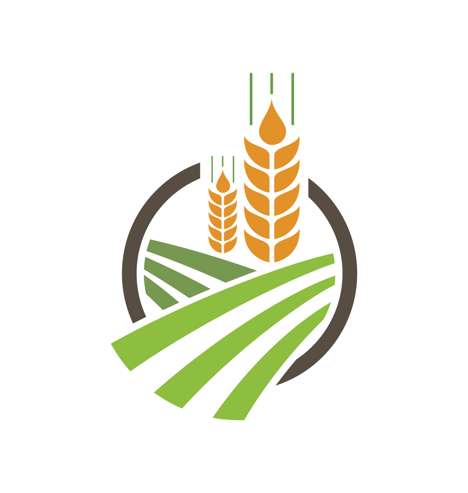 Agriculture wheat logo template icon design Vector Image
