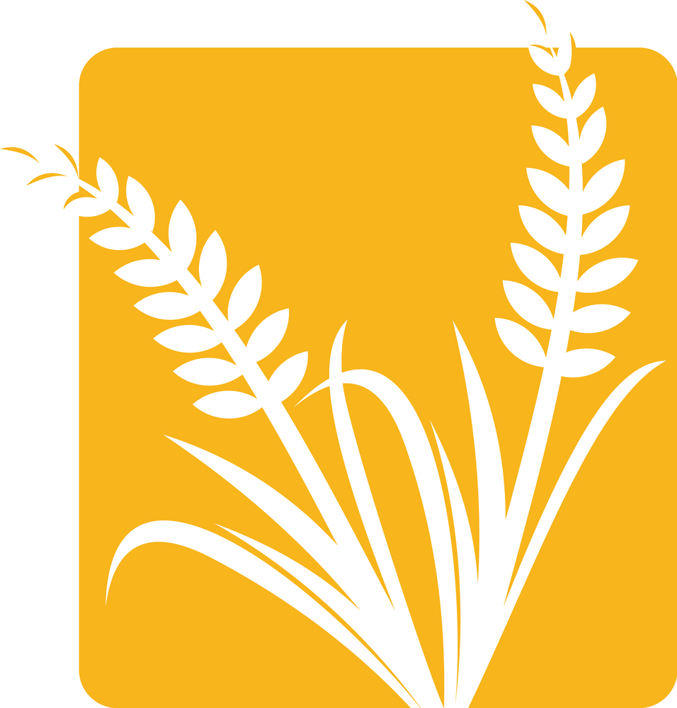 Wheat iconic logo designs template farm Royalty Free Vector