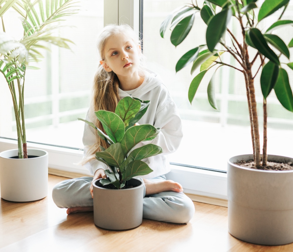 Potted plants at home, held by a cute little girl