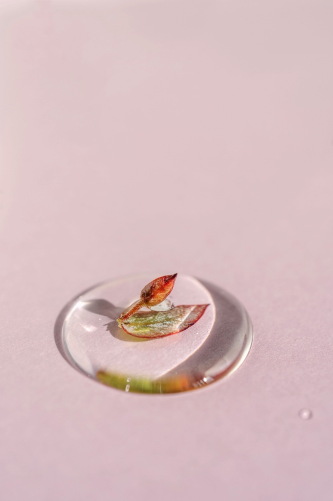 A drop of cosmetic gel with a leaf on a pink background. Perfect for demonstrating the consistency of your gel or serum.. A drop of cosmetic gel with a leaf on a pink background.