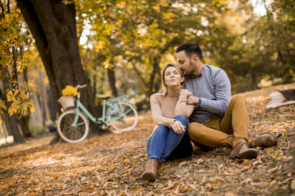 Cheerfull young couple sitting on ground in autumn park