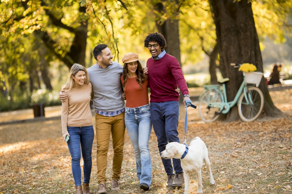 Young multiracial people walking in the park with dog