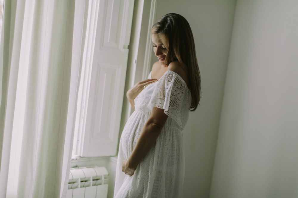 Pretty young pregnant woman standing by the window