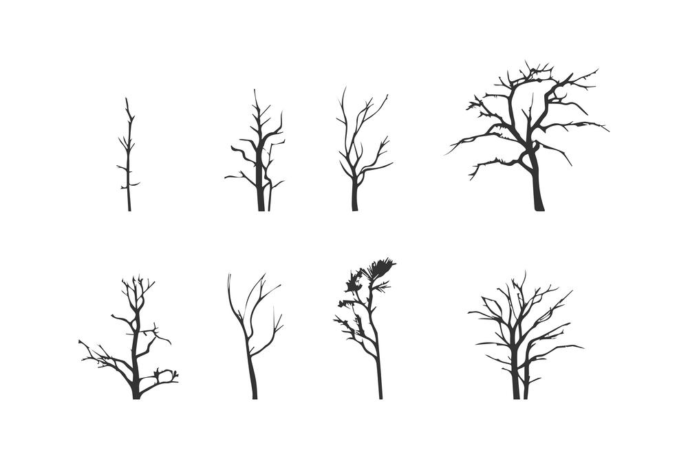 Tree silhouette without leaves icon set. Vector illustration desing.