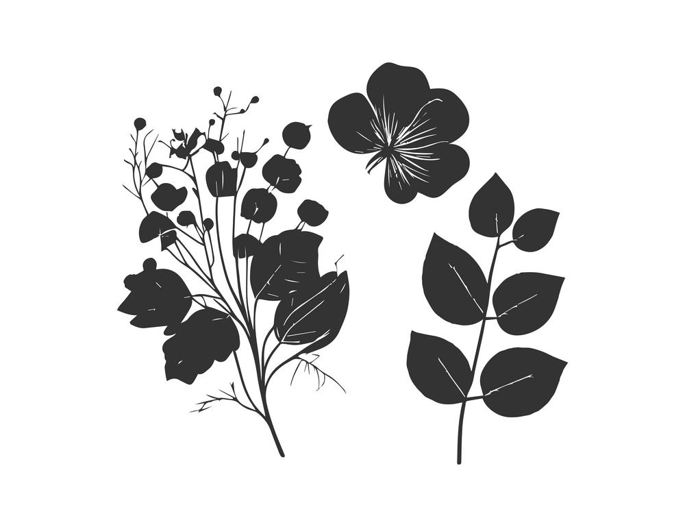 Flower silhouette set. Vector illustration desing.