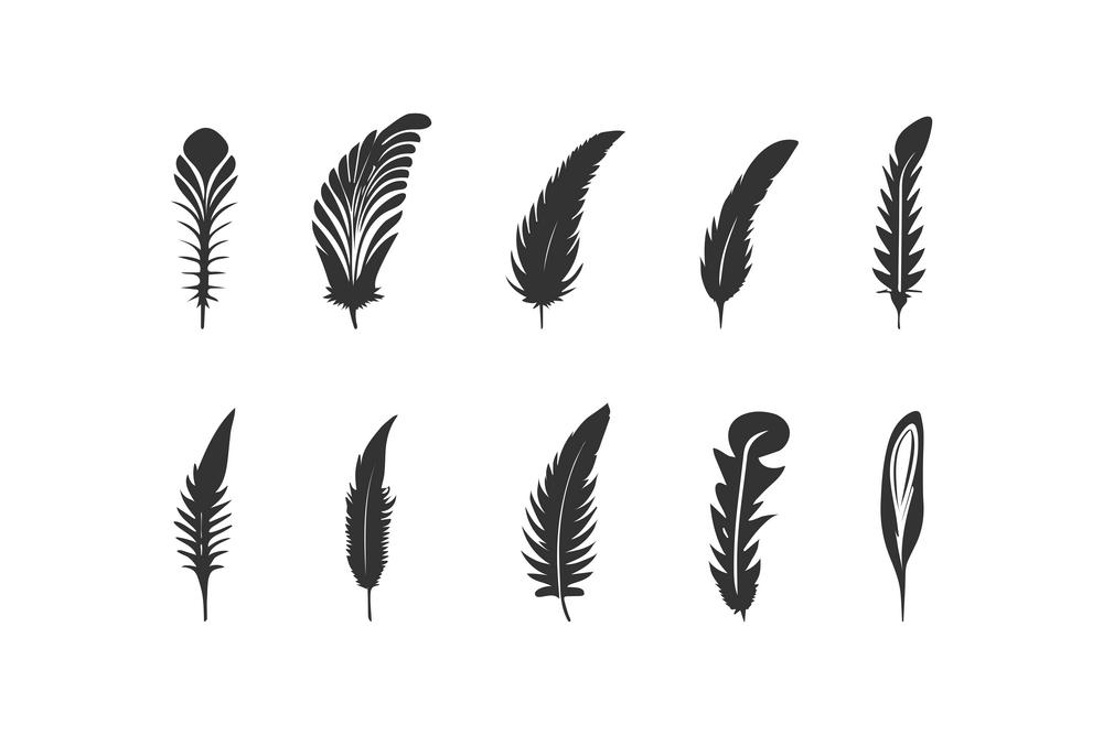 Feather icon set. Vector illustration design.