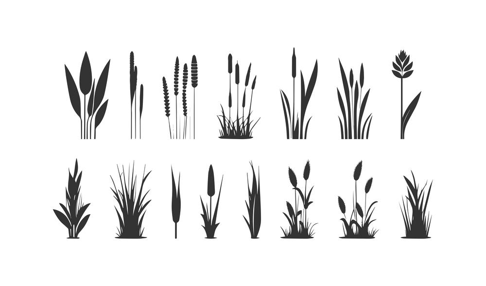 Reed silhouette icon set. Vector illustration design.