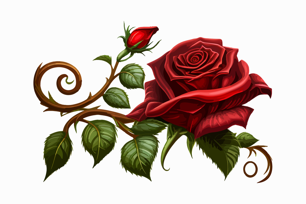 Rose with a bud. Vector illustration design.