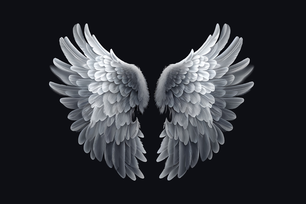Angel wings illustration. Vector desing.
