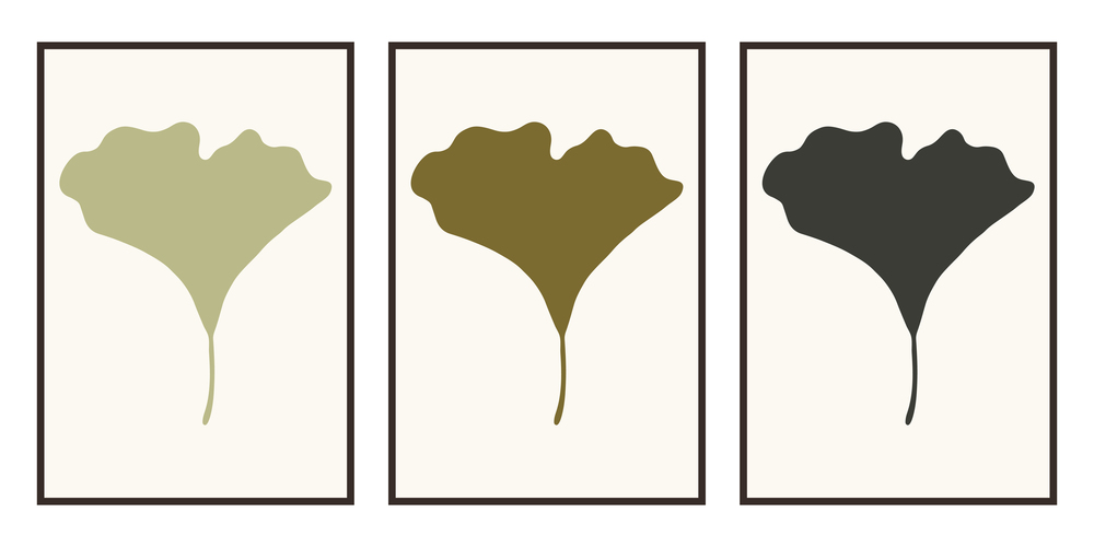 Set of minimalist paintings with botanical elements in frames. For interior decoration, print and design