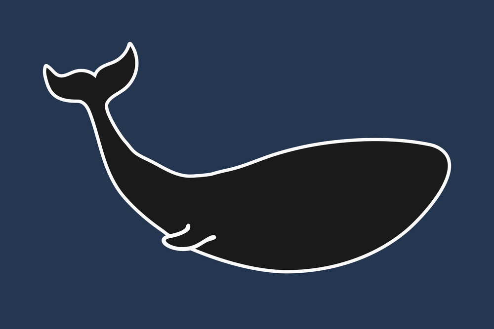 A whale silhouette on blue background. Ocean and sea life theme. Vector illustration