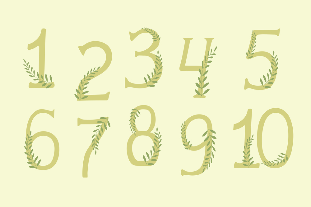Numbers from Zero to Ten with plant branches. Hand drawn vector art. Botanical colors