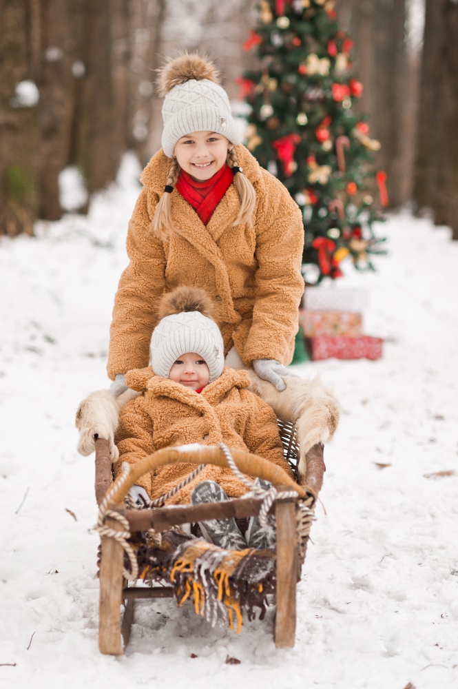 Children ride a wooden sleigh before the New Year holidays.. New Years sledding in the winter forest on the background of a Christmas