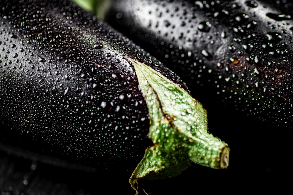 Fresh eggplant with drops of water. Macro background. High quality photo. Fresh eggplant with drops of water.