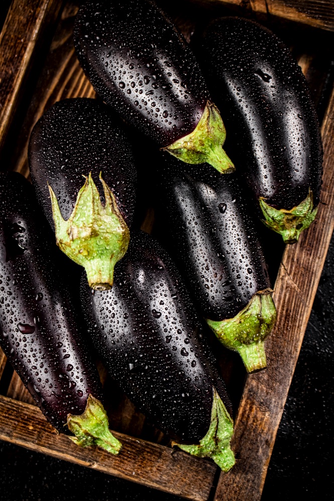 Ripe eggplant on a wooden tray. On a black background. High quality photo. Ripe eggplant on a wooden tray.