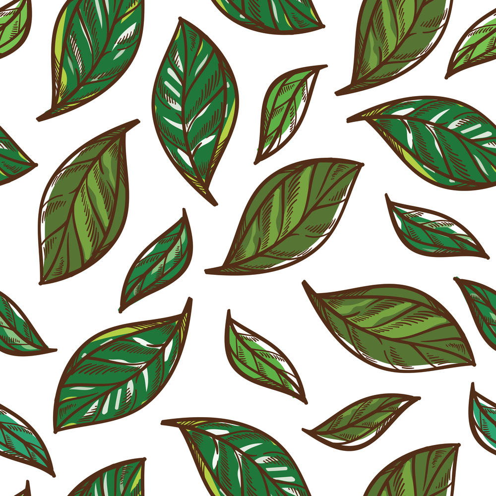 Aromatic mint leaves for seasoning seamless pattern or herbs and spices. Cooking or dieting ingredients, mentha scented melissa with fragrance. Spearmint spice vector in flat style illustration. Mint leaves spices and herbs for cooking seamless pattern