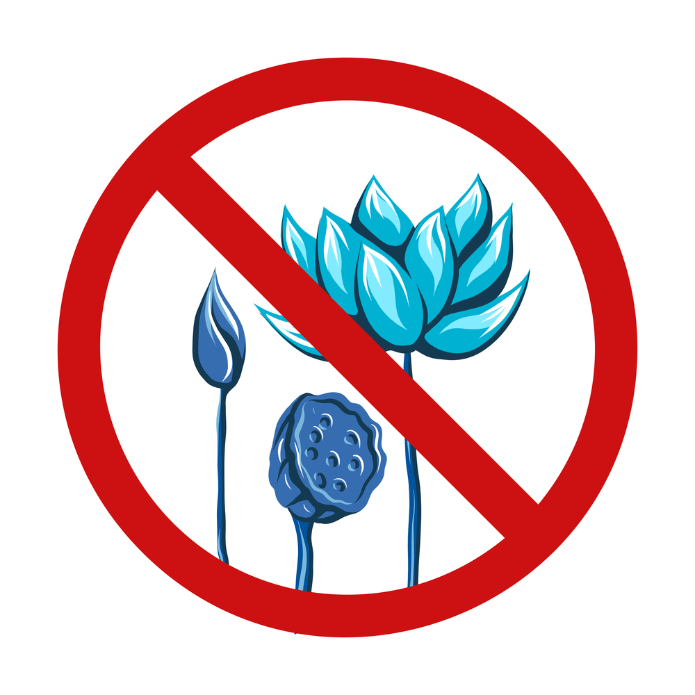 Vector lotus flowers and seed vessel on stems in the forbidden sign isolated from the background. Water lily allergy danger. Icon prohibition to pluck flowers. Rare flowers.. Vector lotus flowers and seed vessel on stems in the forbidden sign isolated from the background. Water lily allergy danger.