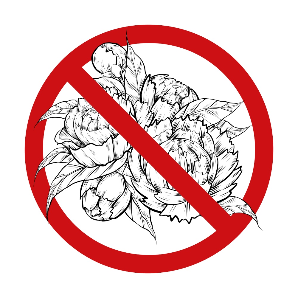 Vector forbidden sign with sketch of lush bush with peonies and leaves . Allergy danger. Prohibition icon to pluck flowers isolated from the background. Rare flowers.. Vector forbidden sign with sketch of lush bush with peonies and leaves . Allergy danger. Prohibition icon to pluck flowers