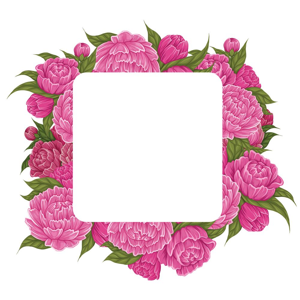 Vector square frame with lush cartoon peony flowers with foliage and copy space. Natural border with floral bouquet and place for text. Template for invitations and banner
