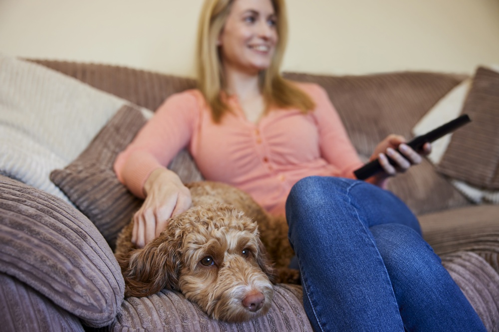 Woman With Pet Cockapoo Dog Relaxing On Sofa Watching TV At Home