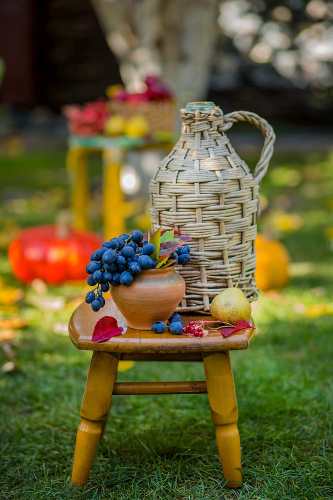 Autumn scene with plants, pumpkins, apples in a wicker basket, ceramic pots, wooden chair, vintage style, composition in the garden, outdoors.. Autumn scene with plants, pumpkins, apples in a wicker basket, ceramic pots, wooden chair, vintage style, composition in the garden.