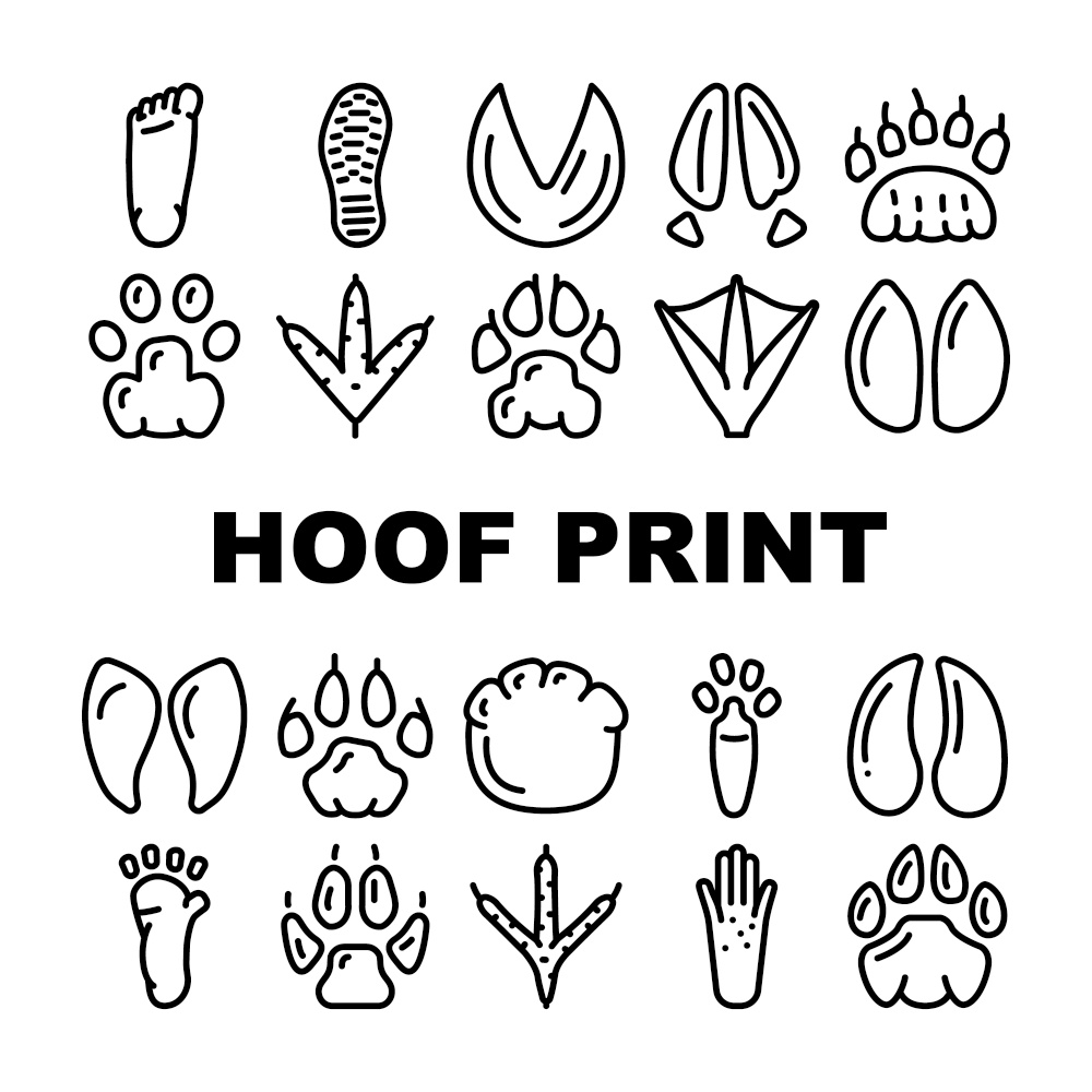 Hoof Print Animal, Bird And Human Shoe Set Vector. People Footprint And Elephant Hoof Print, Deer And Bear, Horse And Tiger, Chicken And Mouse. Mammal Sheep Paw Black Contour Illustrations. Hoof Print Animal, Bird And Human Shoe Set Vector