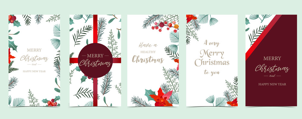 Christmas background for social media.Set of story with flower,leaf,ribbon