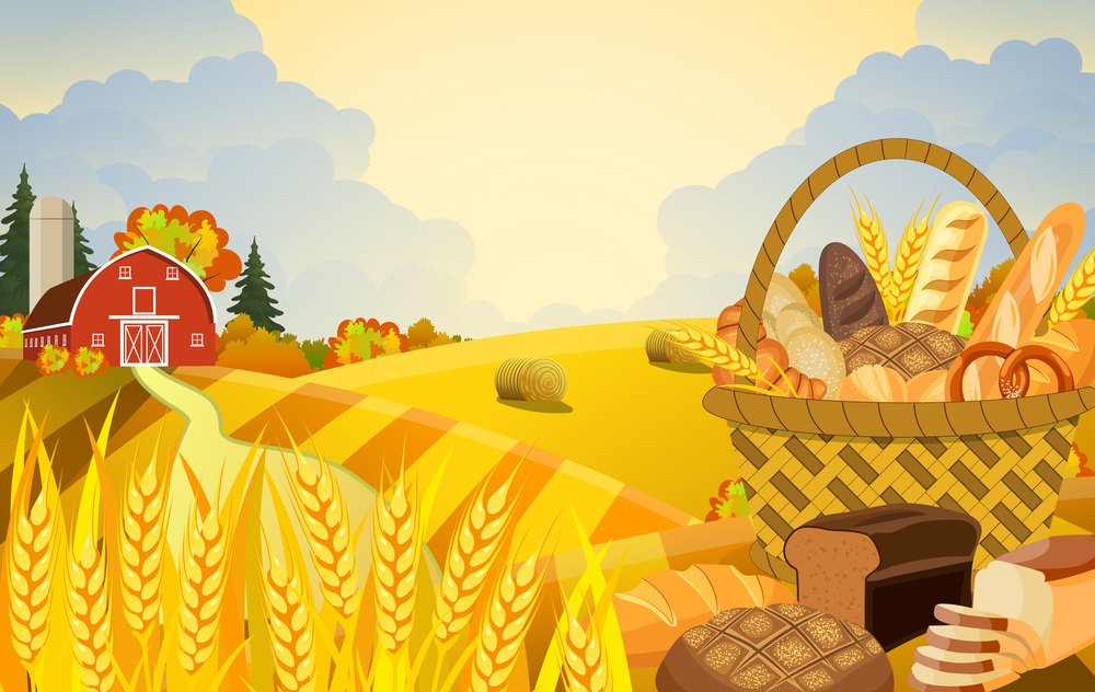 Cartoon beautiful fall farm scene with wheat fields. Farm flat landscape. Organic food concept for any design. Basket with wheat and fresh bread.. Cartoon beautiful fall farm scene