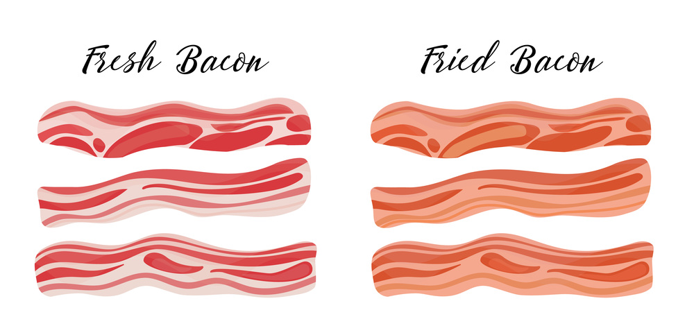 Two types of bacon, pork - fresh and fried. Healthy tasty breakfast. Vector illustration in flat style. Two types of bacon, pork