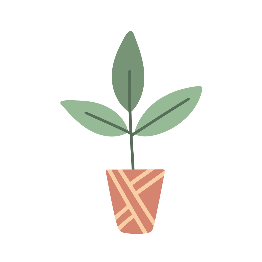 Single houseplant with large leaves in pot with pattern. Isolated home natural decor. Indore plant for room, office and home of comfort. Greenery in flowerpot vector illustration. Single houseplant with large leaves in pot with pattern