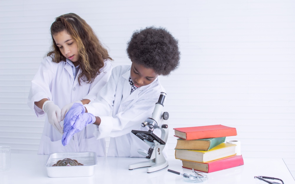 Caucasian girl and African black boy studying Science and doing experiment together in classroom at school. Education and Diversity Concept.