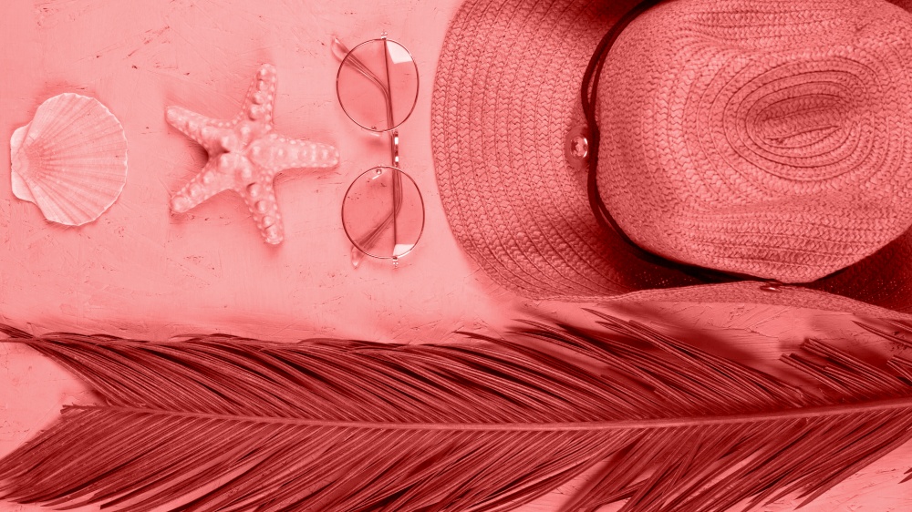 elevated view scallop starfish sunglasses hat palm leaves coral background