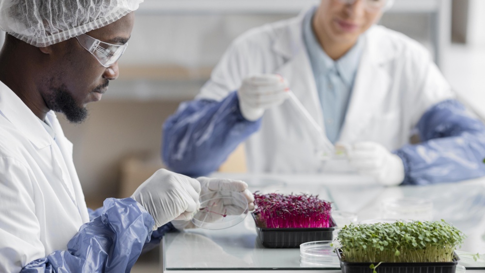 researchers biotechnology laboratory with plants