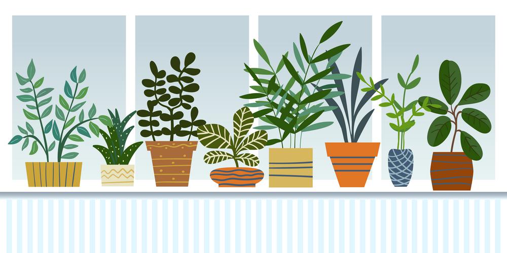 View of the window with indoor plants. Vector illustration.