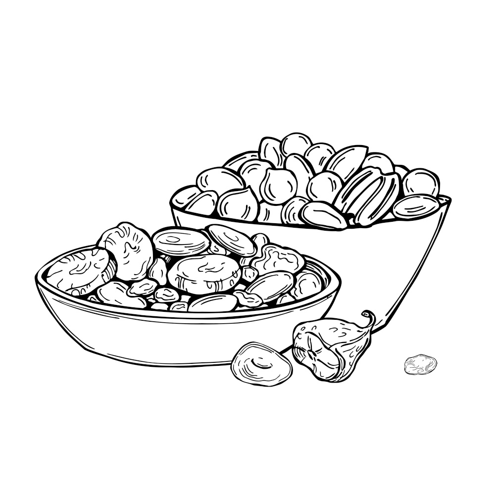 Hand drawn dried fruits and nuts. Vector  sketch illustration.. Dried fruits and nuts. Vector   illustration.