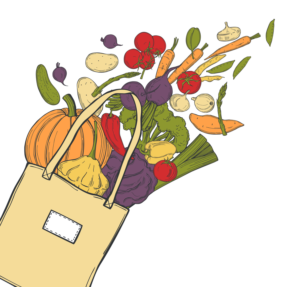 Hand drawn vegetables in  bag on white background. Vector sketch  illustration. . Sketch vegetables. Vector  illustration