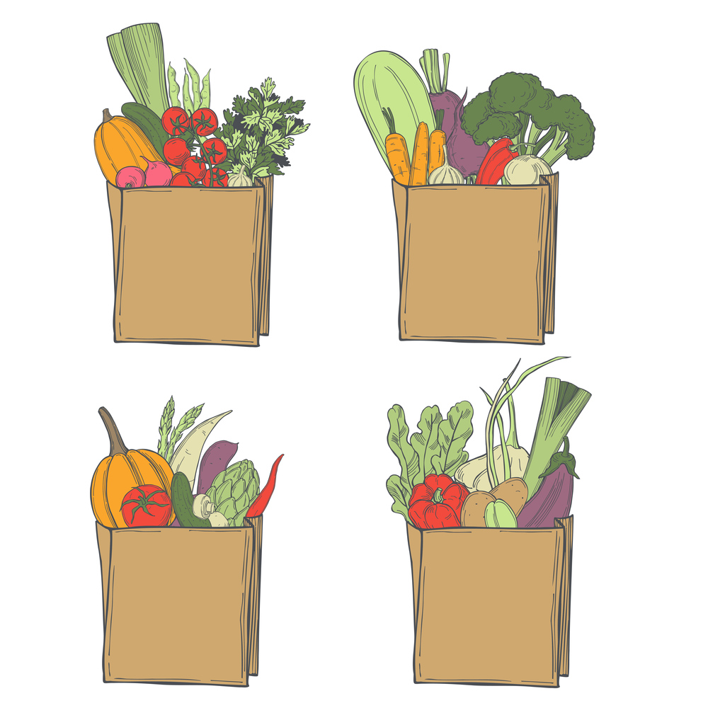 Hand drawn vegetables in  paper bag on white background. Vector sketch  illustration. . Sketch vegetables. Vector  illustration