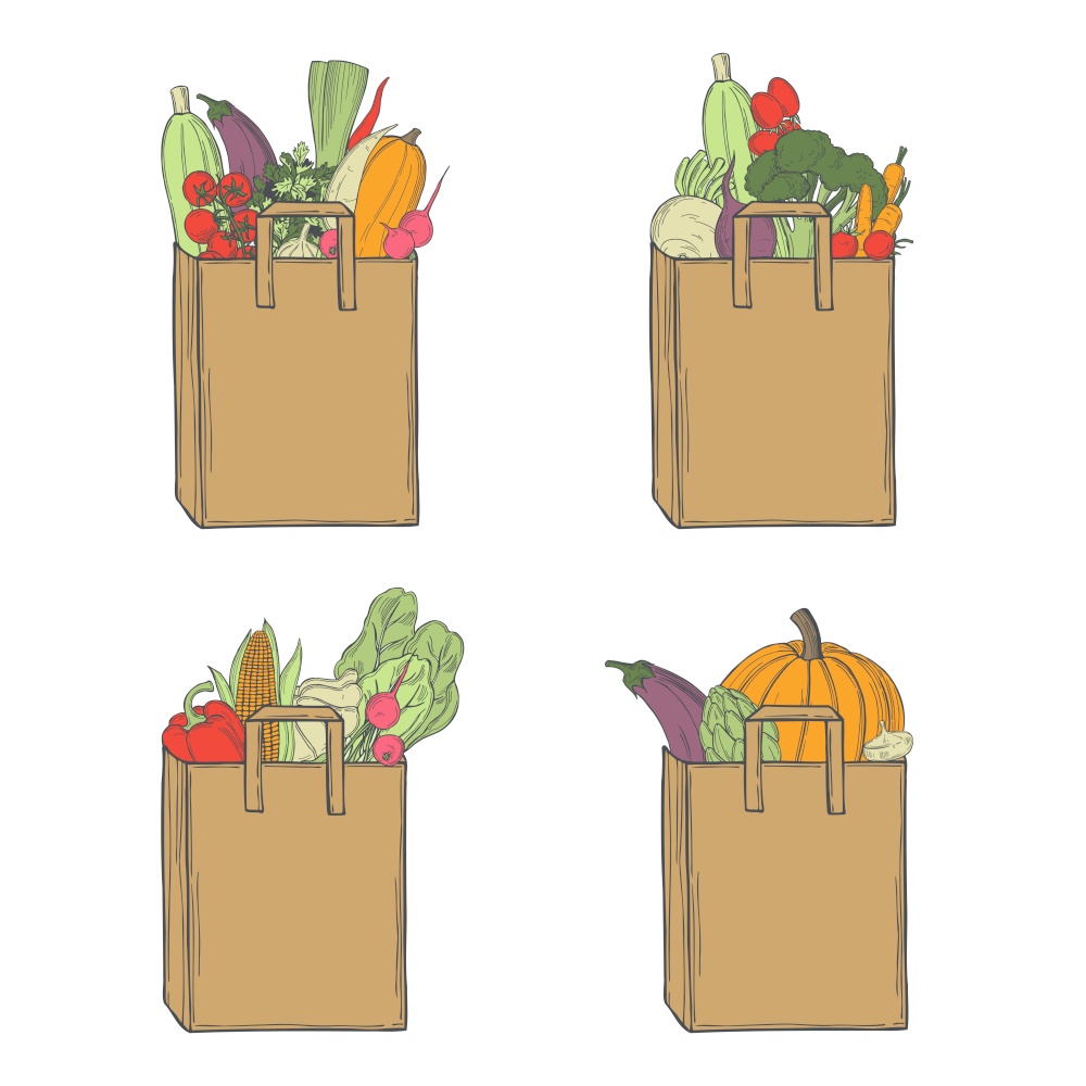 Hand drawn vegetables in  paper bag on white background. Vector sketch  illustration. . Sketch vegetables. Vector  illustration