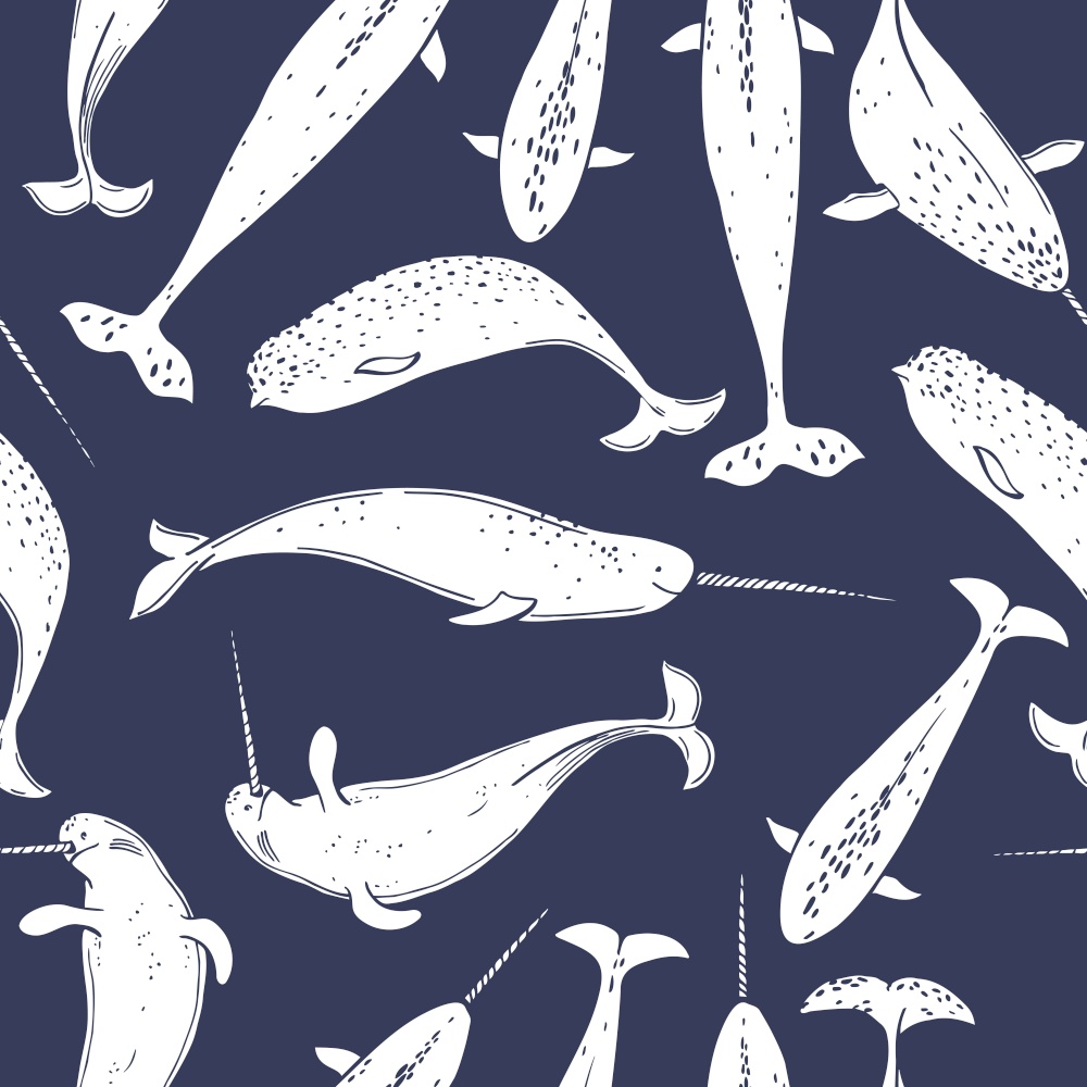 Hand draw narwhal (Monodon monoceros). Vector sketch  illustration. . Narwhal . Vector pattern