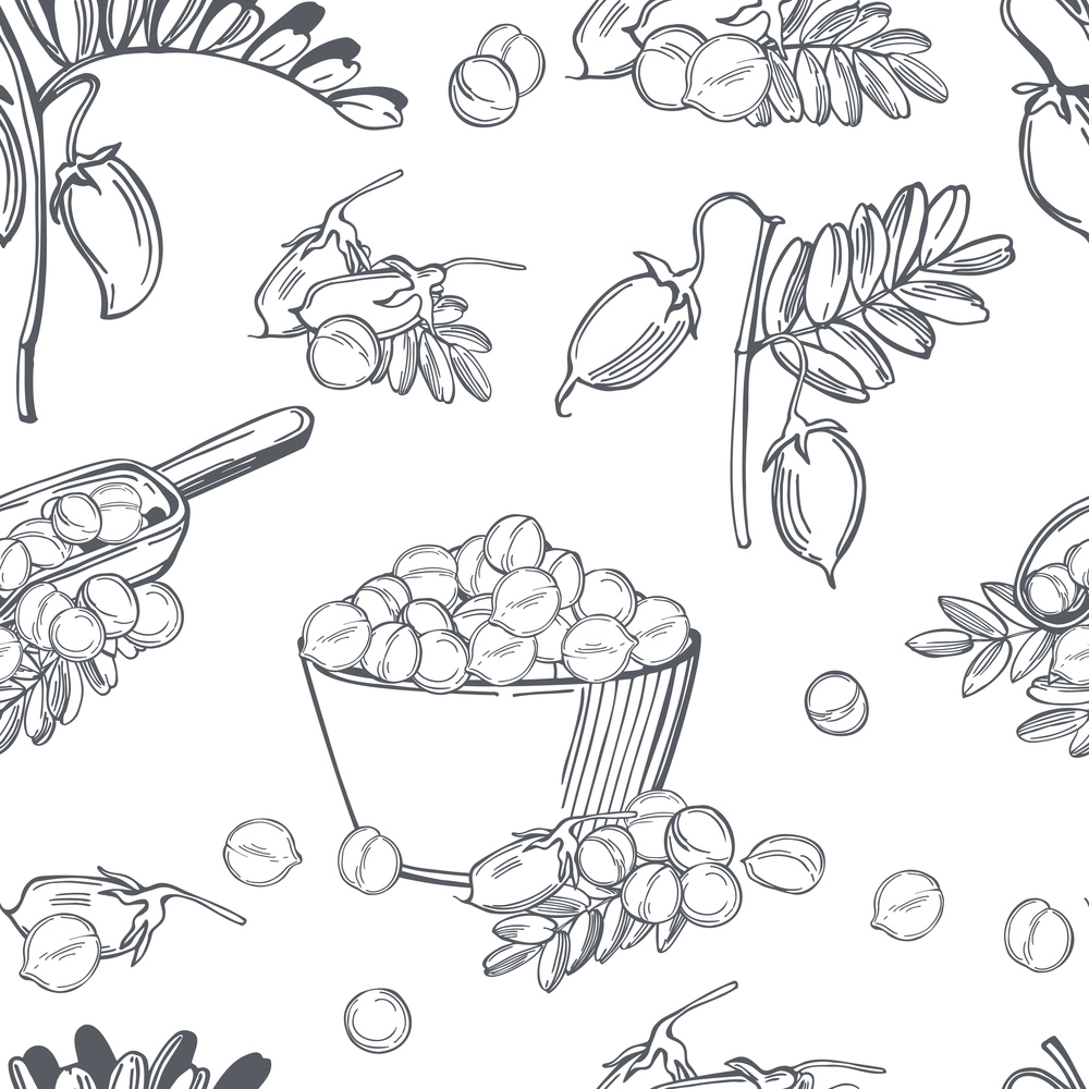 Hand drawn chickpeas  plants and beans. Vector  seamless pattern. . Chickpeas  beans. Vector  pattern.