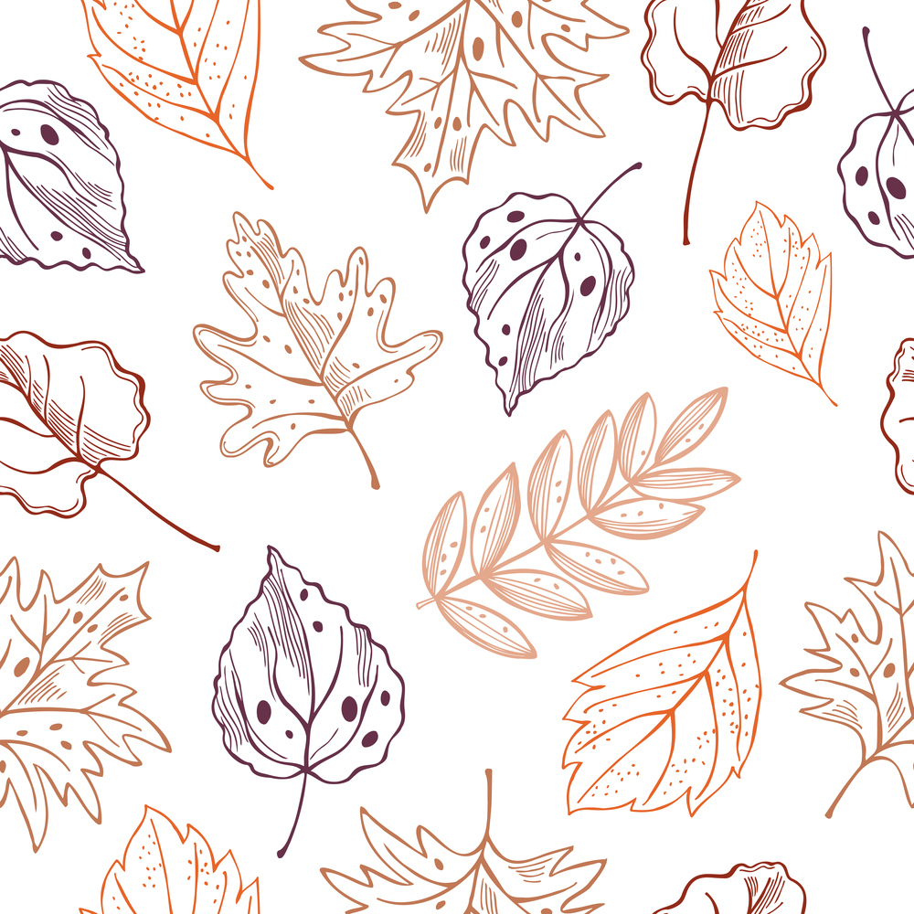 Hand drawn autumn leaves .  Vector  seamless pattern..  Vector pattern  with  autumn leaves.