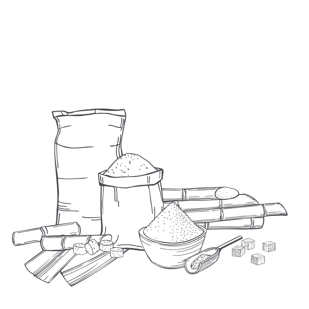 Hand drawn sugarcane  and sack bags of sugar. Vector background. Sketch  illustration.. Sugarcane and sugar. Vector background.
