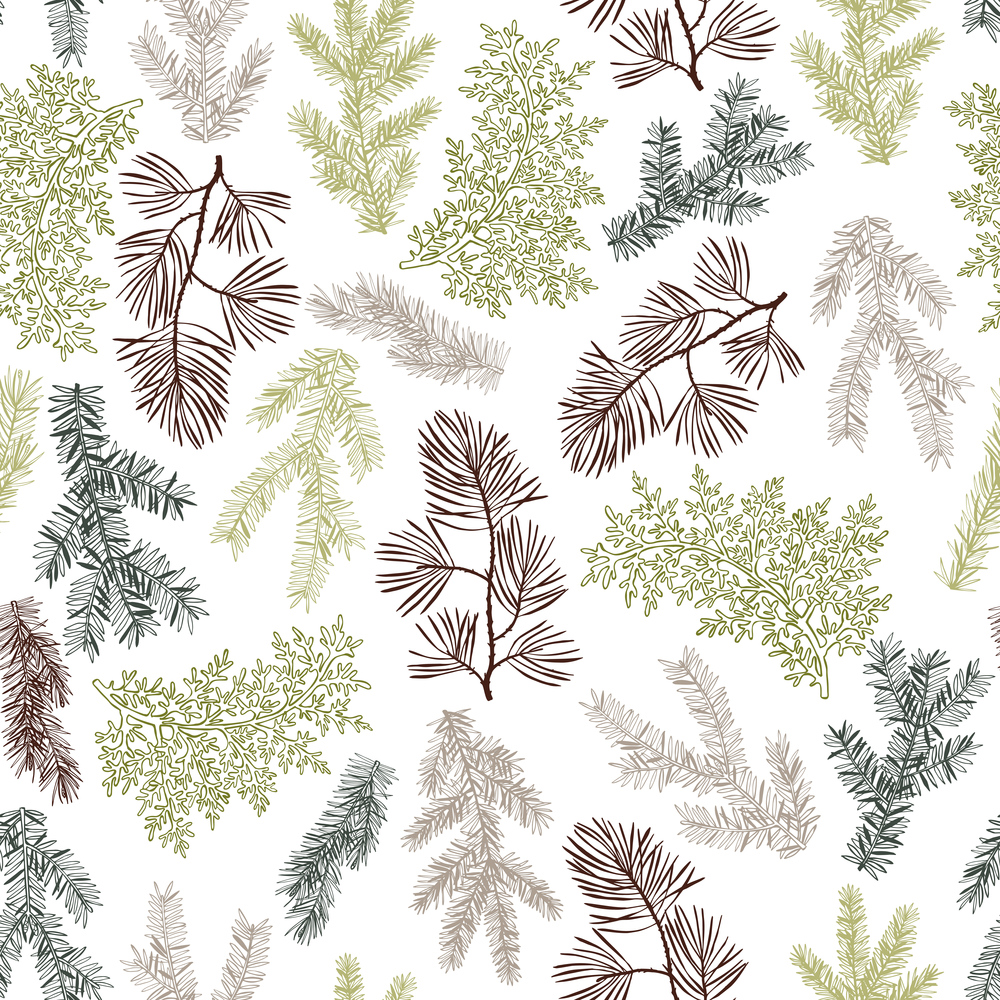 Vector  seamless pattern with hand drawn branches and cones of coniferous trees. Christmas plants. . Vector   pattern with Christmas plants