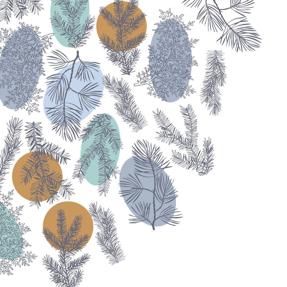 Vector background with hand drawn branches and cones of coniferous trees. Christmas plants. . Christmas plants . Vector background