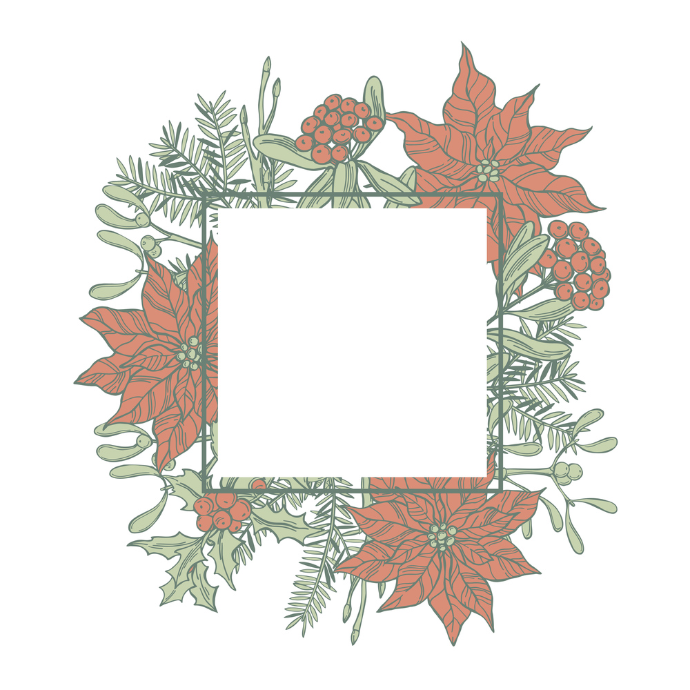 Vector frame with hand drawn red poinsettias and Christmas plants. Sketch illustration.. Vector frame with Christmas plants .