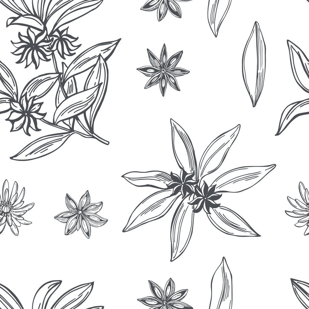 Hand drawn star anise on white background.Vector  seamless pattern. . Star anise.Vector  pattern.