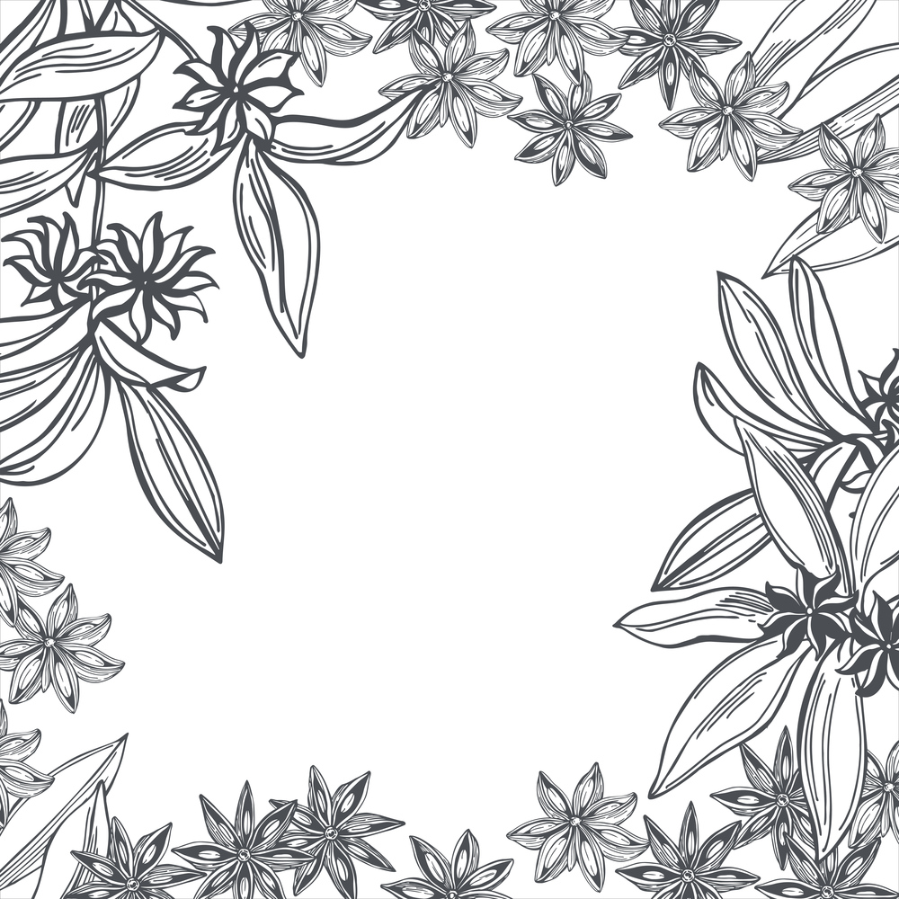 Hand drawn star anise. Vector background. Sketch  illustration.. Star anise. Vector background.