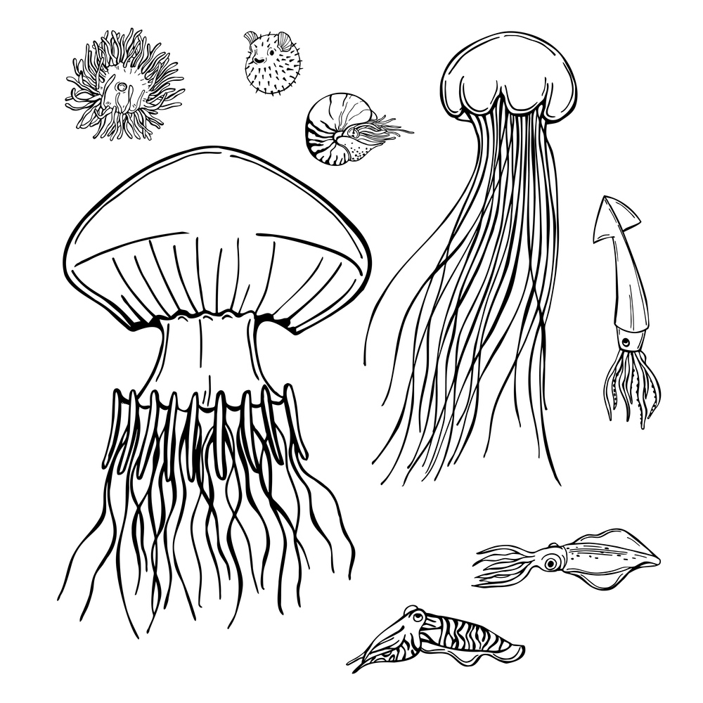 Hand drawn fish and wild marine animals. Jellyfish and shellfish. Vector sketch  illustration.. Fish and wild marine animals set.